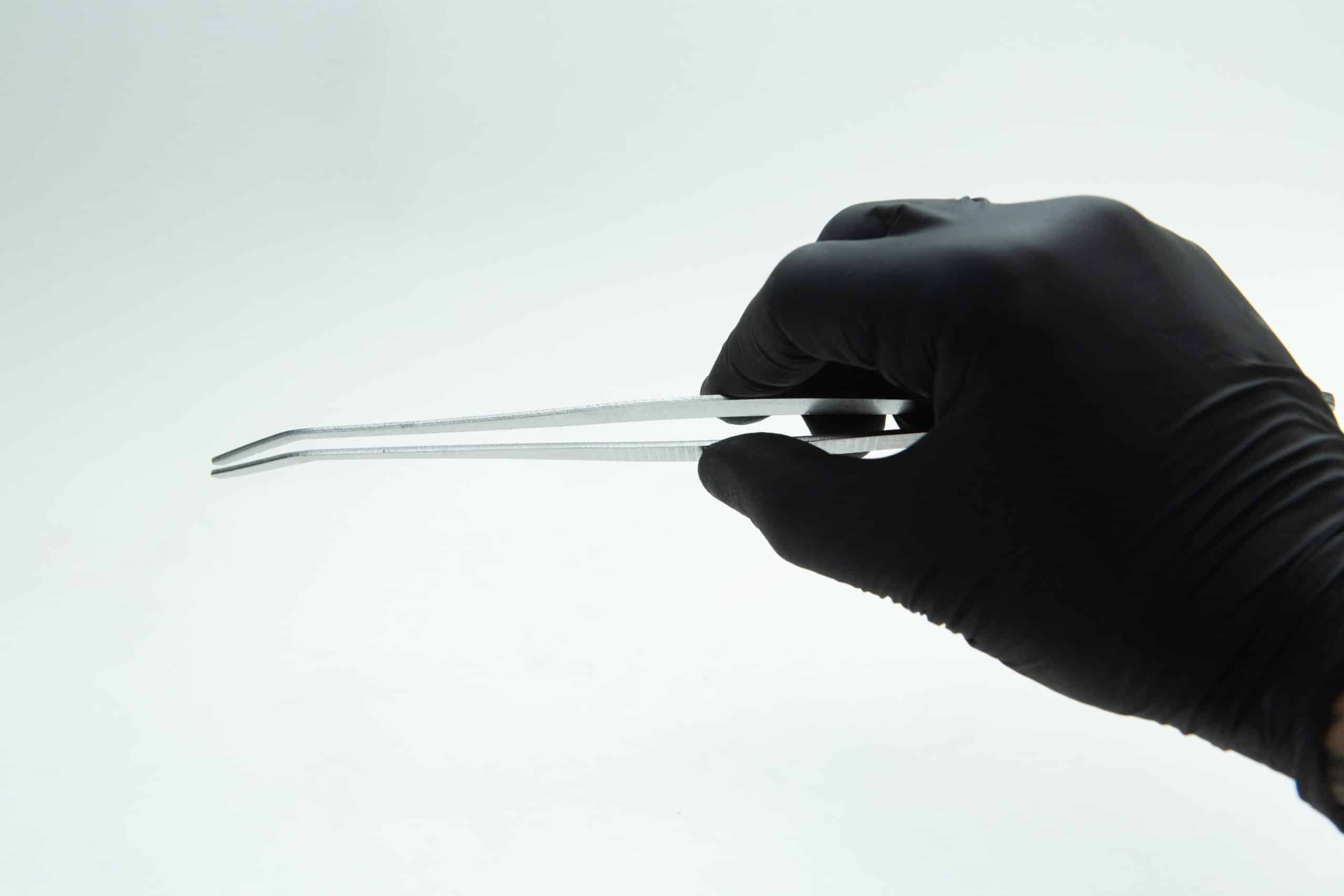 Stainless Steel Plant tissue culture Lab Forceps | Curved & Straight Tips | 25cm 5 A hand in a black glove holds metal tweezers against a plain white background.