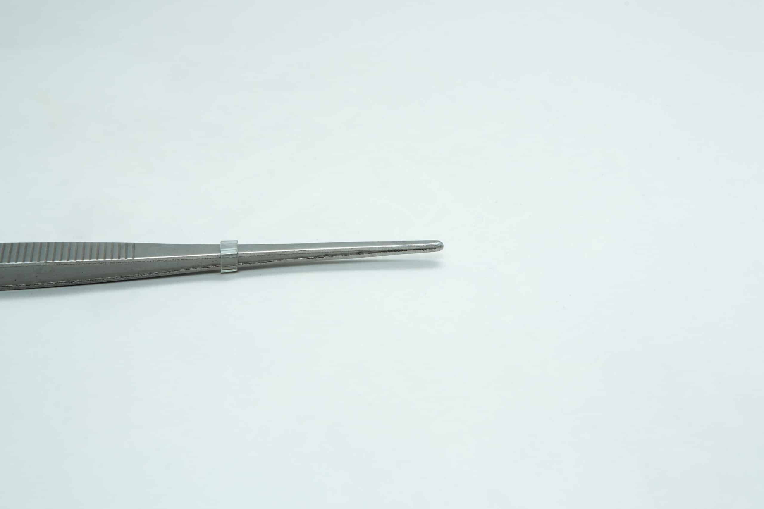Stainless Steel Plant tissue culture Lab Forceps | Curved & Straight Tips | 25cm 7 A pair of metal tweezers is positioned on a plain white background, pointing to the right.