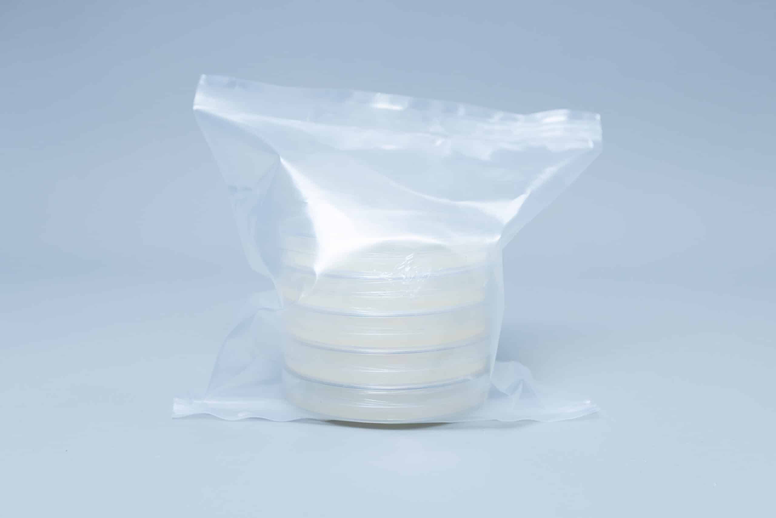 Potato Dextrose Agar (PDA) plates Pre poured 90mm 8 Potato Dextrose Agar (PDA) plates Pre poured 90mm - Image 8