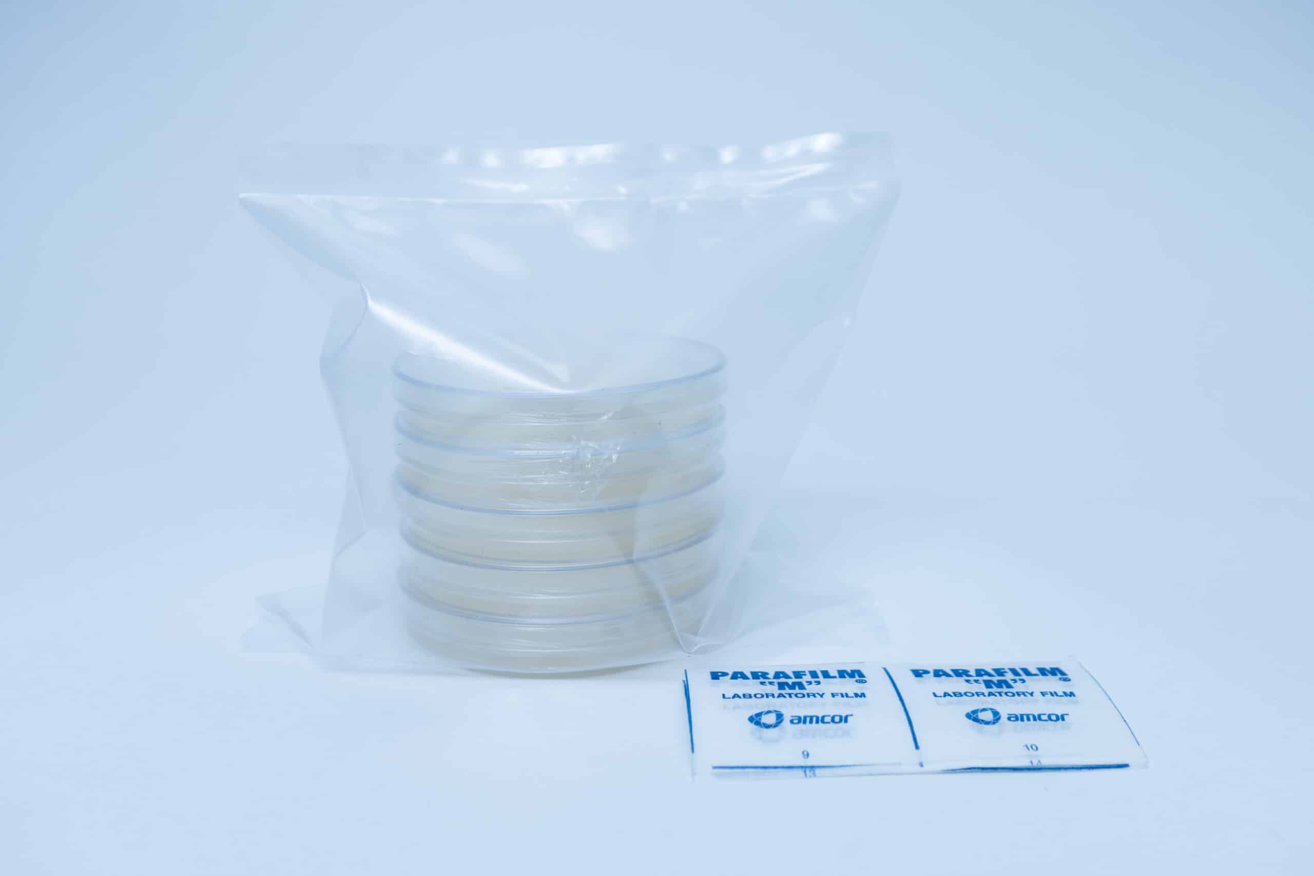 Potato Dextrose Agar (PDA) plates Pre poured 90mm 7 A stack of petri dishes in a plastic bag next to two packets of Parafilm laboratory film.