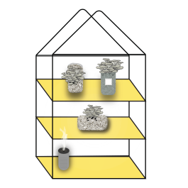 Line art glasshouse with yellow shelves holding jars and trays of mushrooms, plus a small smoking container below—perfect inspiration for anyone seeking quality mushroom growing supplies.